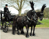 Horse drawn hearse