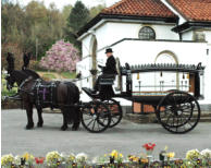 Horse drawn hearse